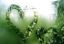 南非足球璀璨之星：荣耀加冕，绿茵传奇再谱新章